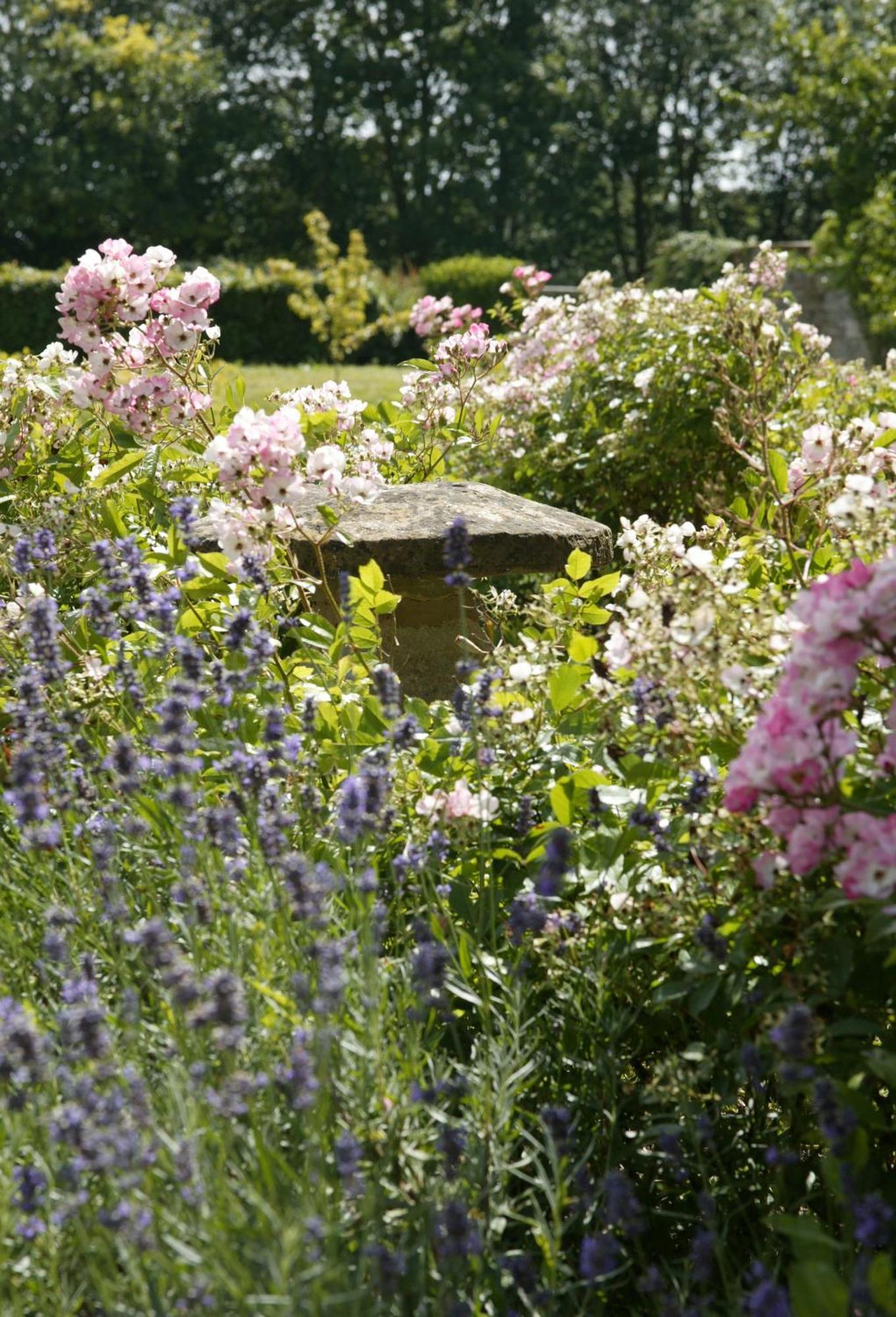 Overtown Manor Bed And Breakfast Swindon Kültér fotó